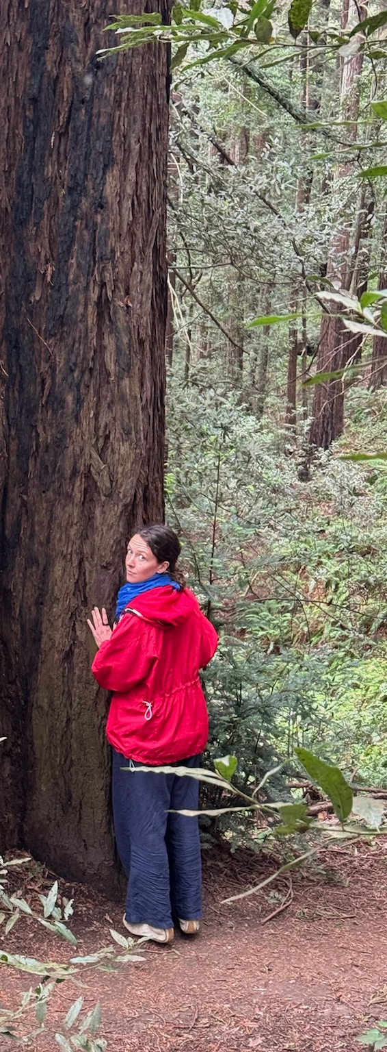 Liza by a redwood tree